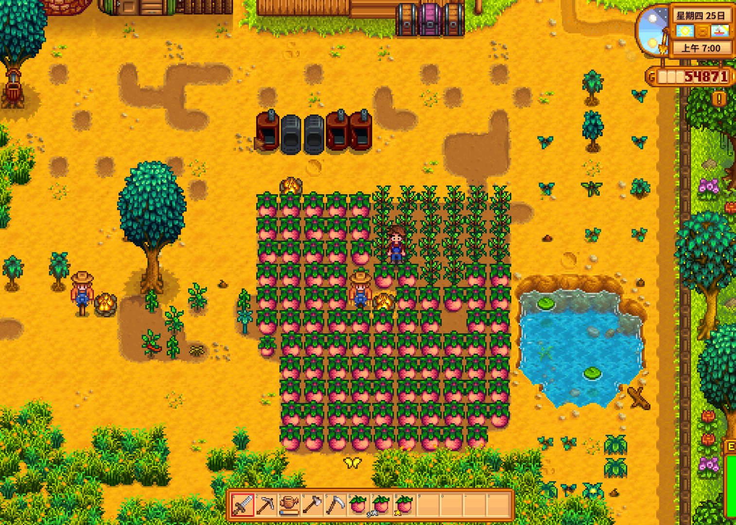 塞尔达传说：旷野之息 完整版 截图13