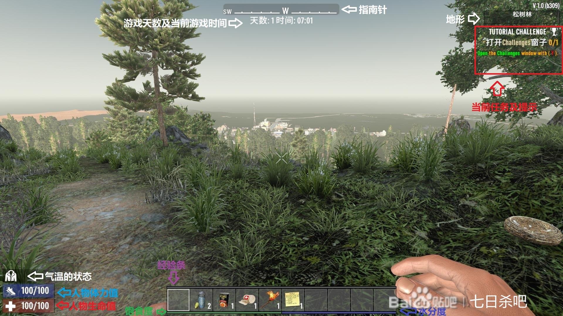 塞尔达传说：旷野之息 完整版 截图9